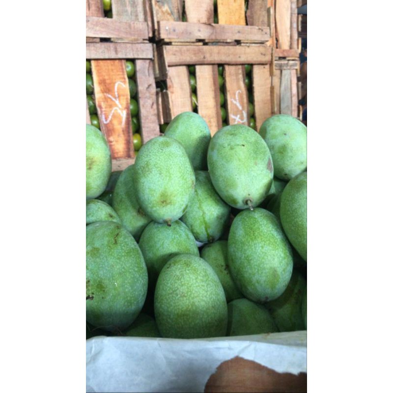 

MANGGA MANALAGI 1 kg