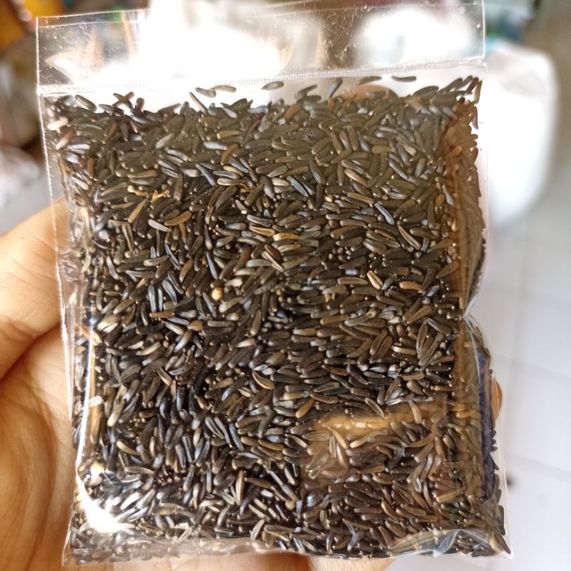Niger Seed Pakan Burung Kenari Kemasan 50 gram