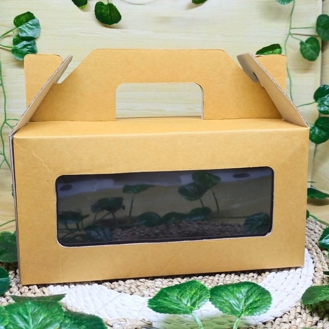 

KARDUS JINJING HAMPERS BOX PACKAGING DUS TENTENG GIFTBOX SOUVENIR 24x10x12 cm (10 PCS)