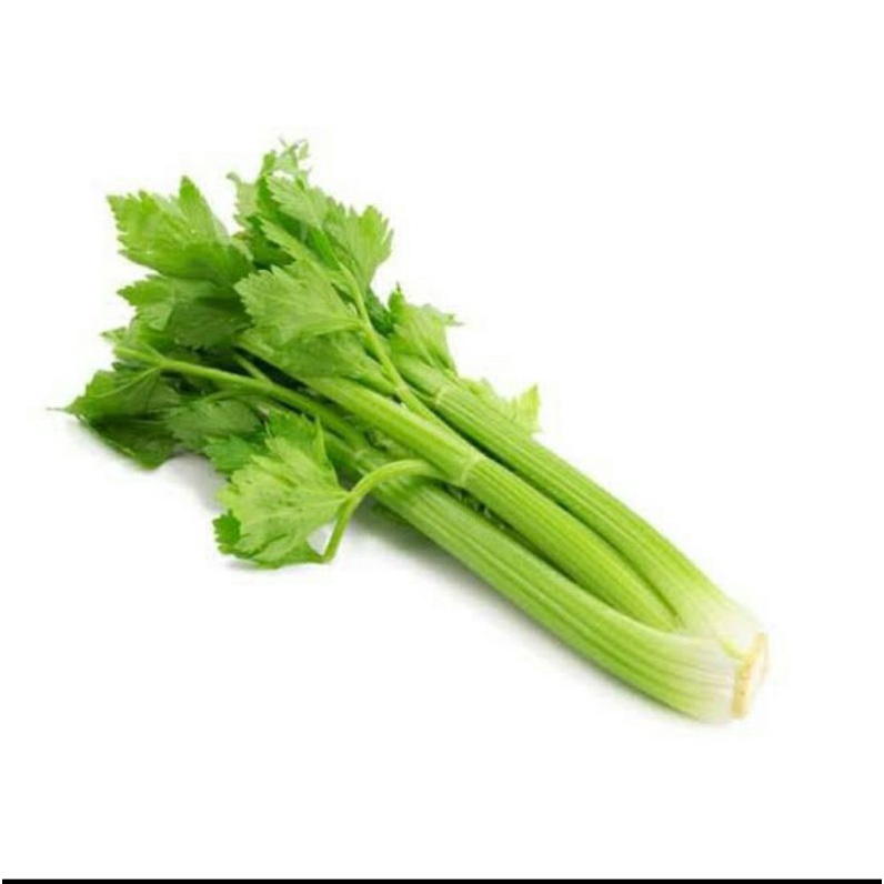 

Seledri Stick 500gr / seledri besar 1 kg