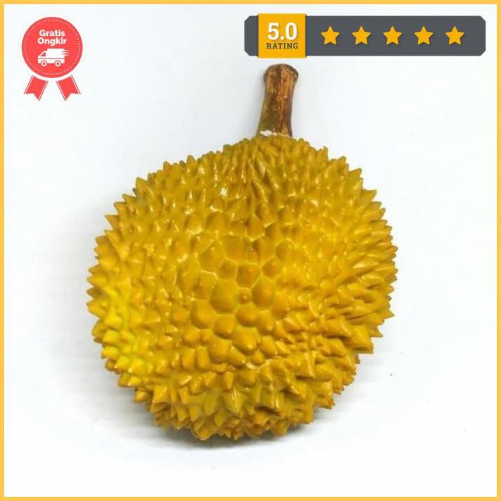 

Mainan Buah Durian Karet Mirip Asli Terlaris