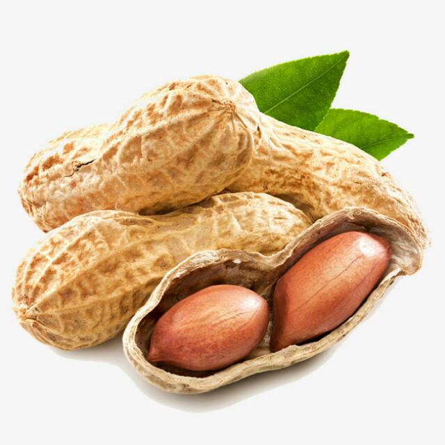 

Kacang sangrai gurih dan enak