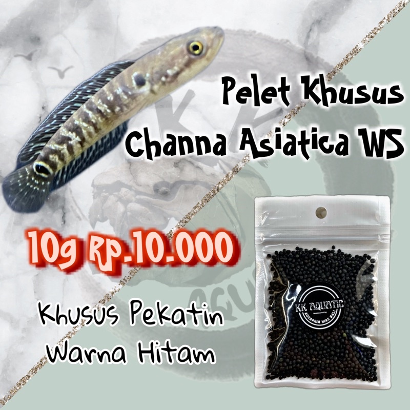 Pelet Black / Untuk Hitamin Bar Hitam / Channa Asiatica WS / Pekatin Warna Hitam