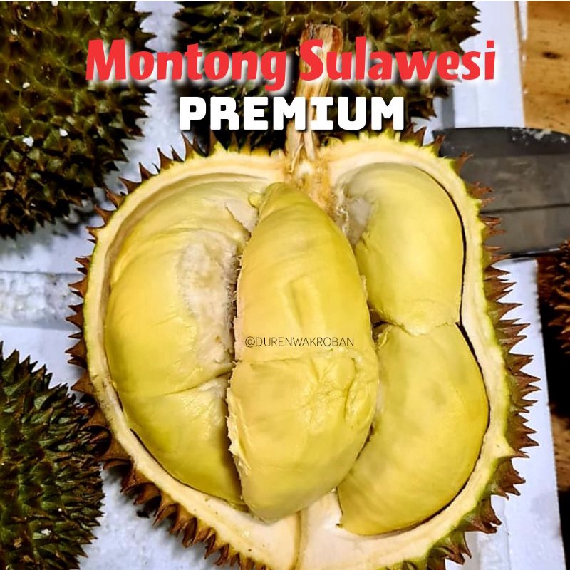 

DUREN UTUH FRESH 1,5 kg - 1,9 kg