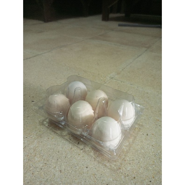 

Telur ayam Negeri