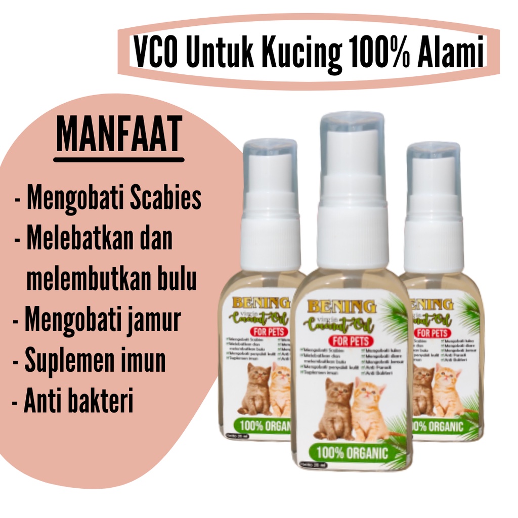 Jual Minyak VCO Obat Jamur Scabies Untuk Kucing Dan Anjing Virgin