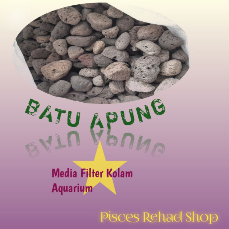 BATU APUNG BATU PUMICE MEDIA FILTER RUMAH BACTERIA