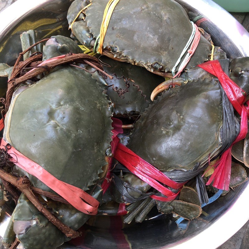 Kepiting Hidup Super Segar Seafood Fresh