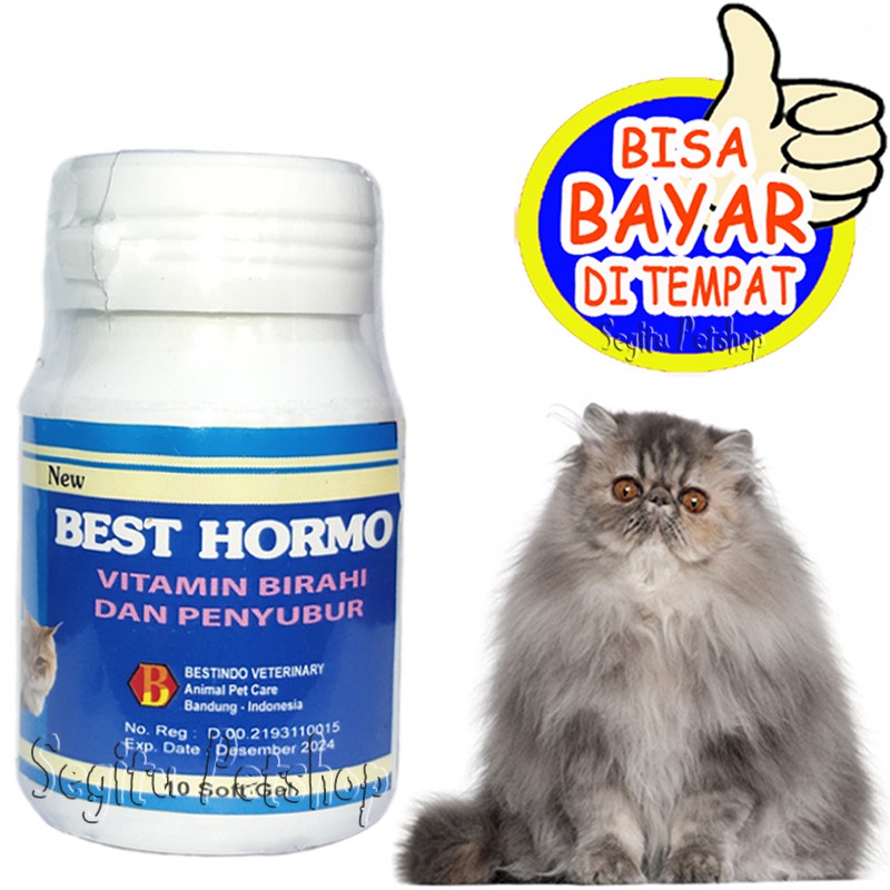 VITAMIN KUCING PENYUBUR KAWIN BIRAHI BEST HORMO SOFTGEL CAT