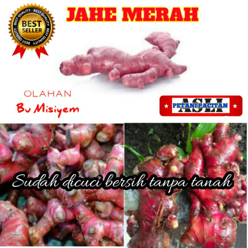 

Jahe Merah Asli Petani Lokal Pacitan [COD] Sudah dicuci bersih