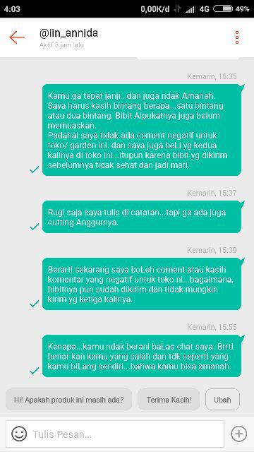 Bibit Alpukat Lam Hass Bibit Benih Tanaman Buah Apokat Lam Hass