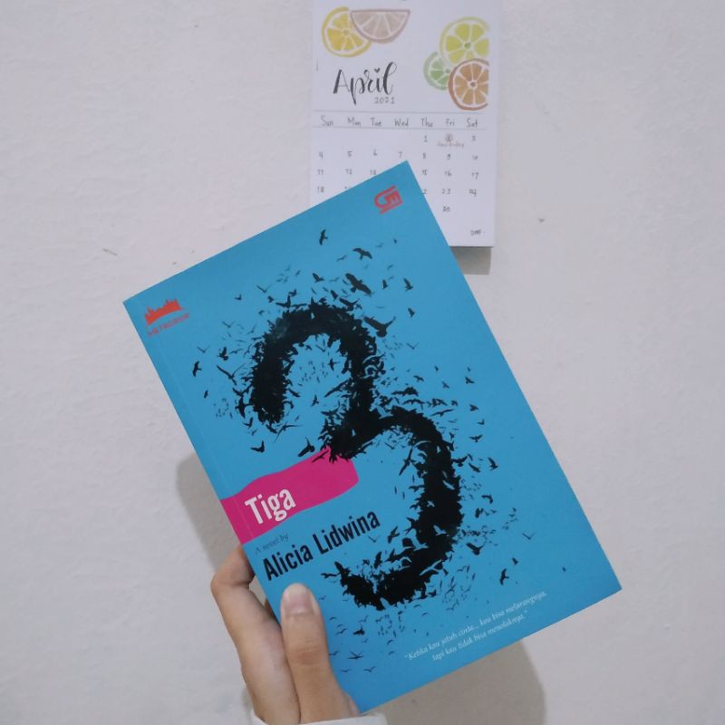 Novel 3 (Tiga) by Alicia Lidwina