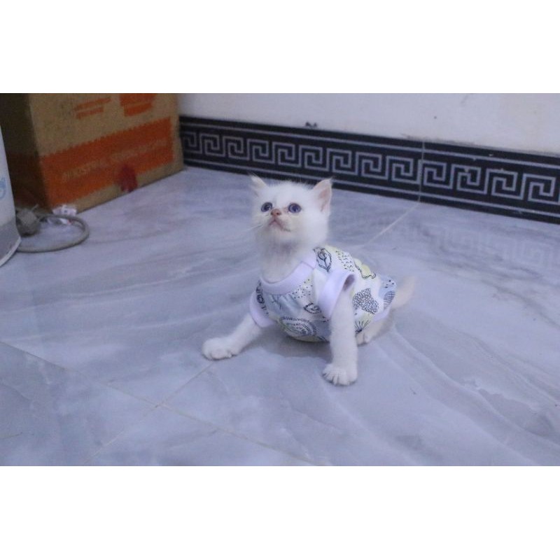 kaos rumahan motif daun abstrak lucu untuk kucing model terlengkap / baju kucing murah size S M L XL