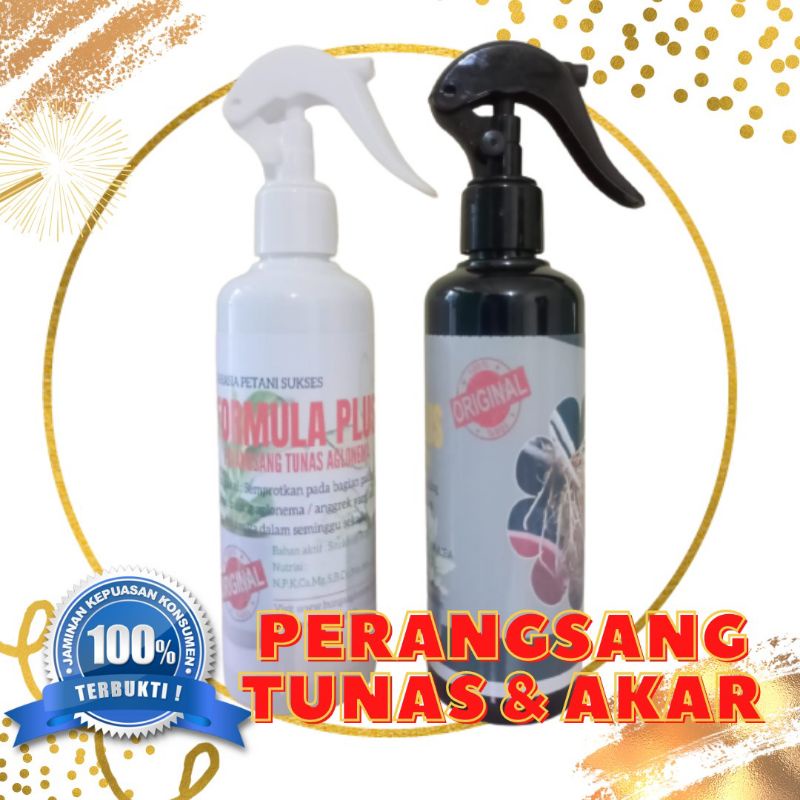 HORMON AGLONEMA FORMULA PLUS RIMBUN AKAR DAN TUNAS