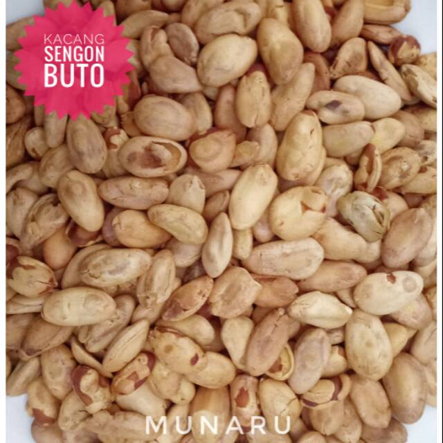 

Camilan Kacang Sengon Buto Matang