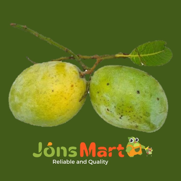 

Jonsmart Buah Mangga Indramayu [KHUSUS INSTANT DAN SAMEDAY]