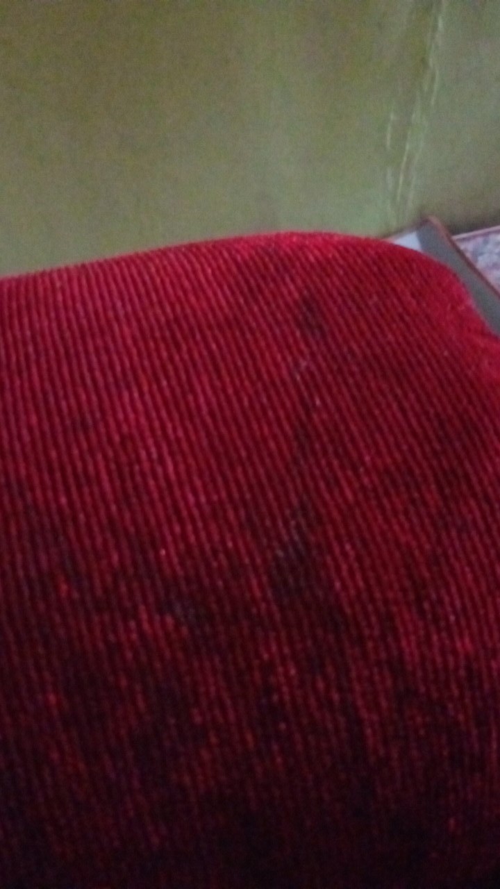 Kotak Bekal Bug & Bee