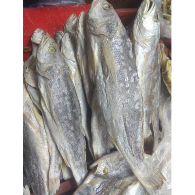 

Ikan sangge panjang Medan®100% asli,250 gram