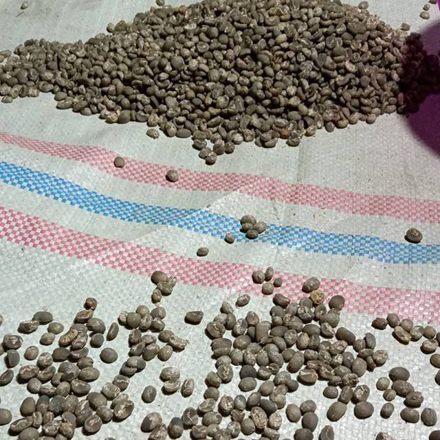 

Gayo Arabica, Semi Wash Process