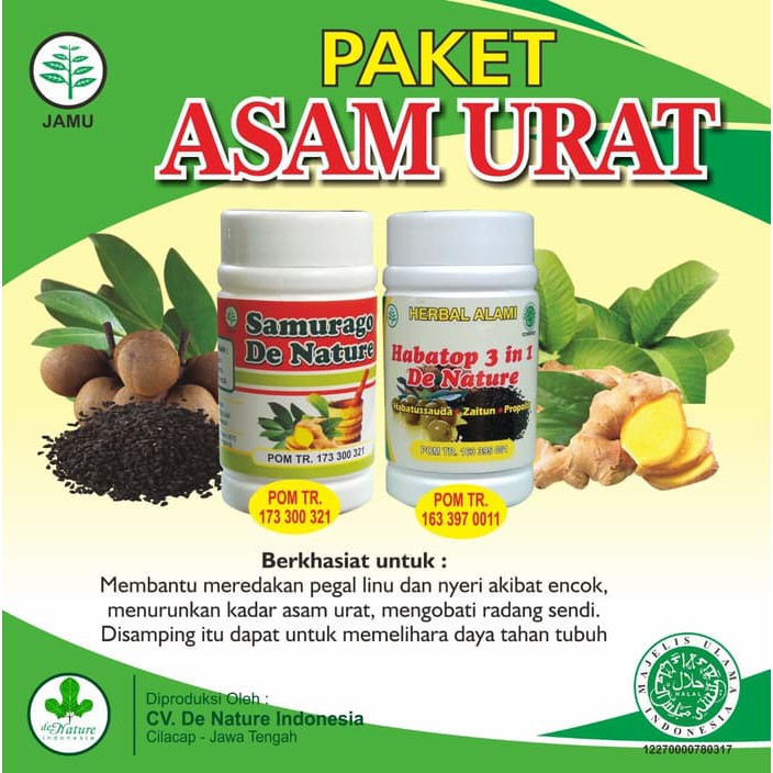 

Obat Herbal Asam Urat Nyeri Sendi Ampuh