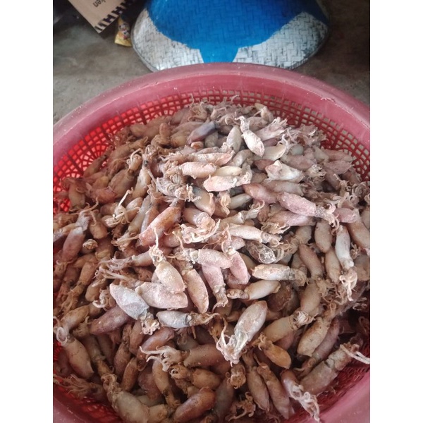 

CUMI ASIN//CUMI REBUS LAUT//250gr