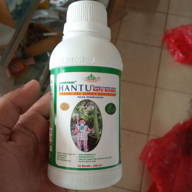 Vitamin Hormon Tanaman Ungul (Hantu) untuk Tanaman Buah