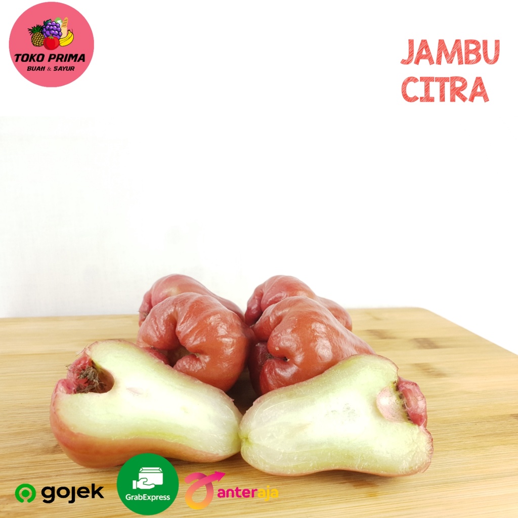 

BUAH JAMBU CITRA PER Kg