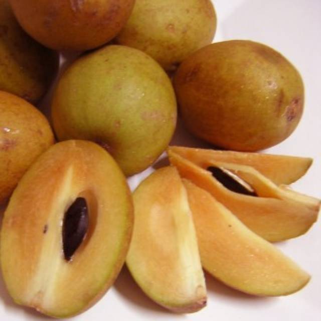 

Buah Sawo Madu 1 kg / Sawo super manis 1 kg
