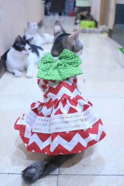 Baju kucing dan anjing edisi natal 2019 lucu motif zig-zag merah putih / baju kucing murah size S-XL