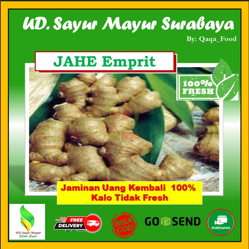 

JAHE EMPRIT BUMBU DAPUR REMPAH REMPAH OBAT HERBAL 500 gram - UD175