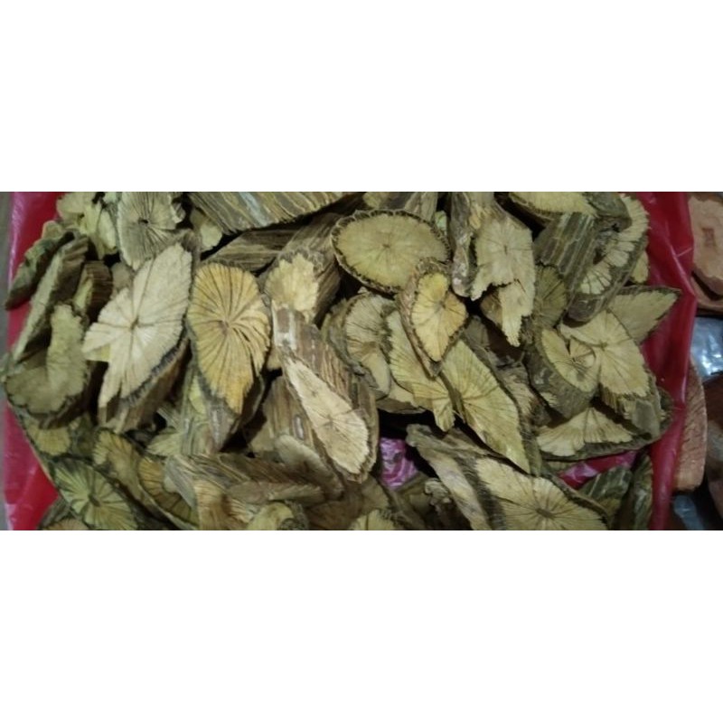 

BAJAKAH KUNING