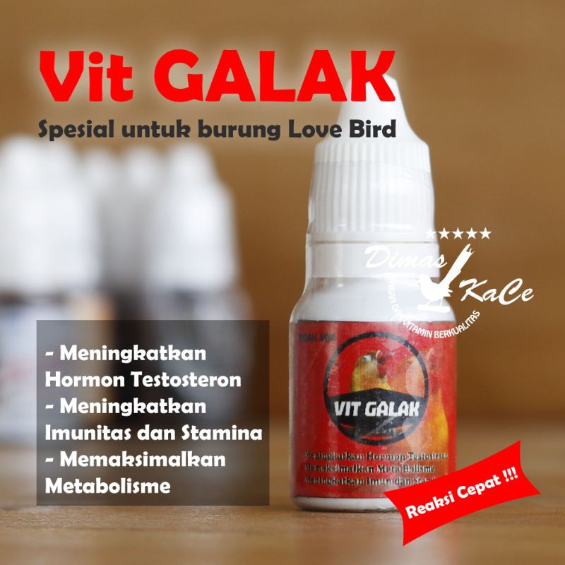 Paket Vit Galak vitamin untuk burung lovebird gacor konslet dimas kace indah jaya herbal