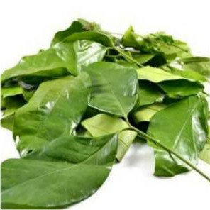 

Daun Tangkil / Melinjo / 250gr Segar #OnLine#Sayur#Murah#Bandung#Cimahi