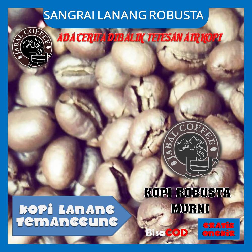 KOPI SANGRAI ROBUSTA LANANG TEMANGGUNG (PEABERRY ROBUSTA)