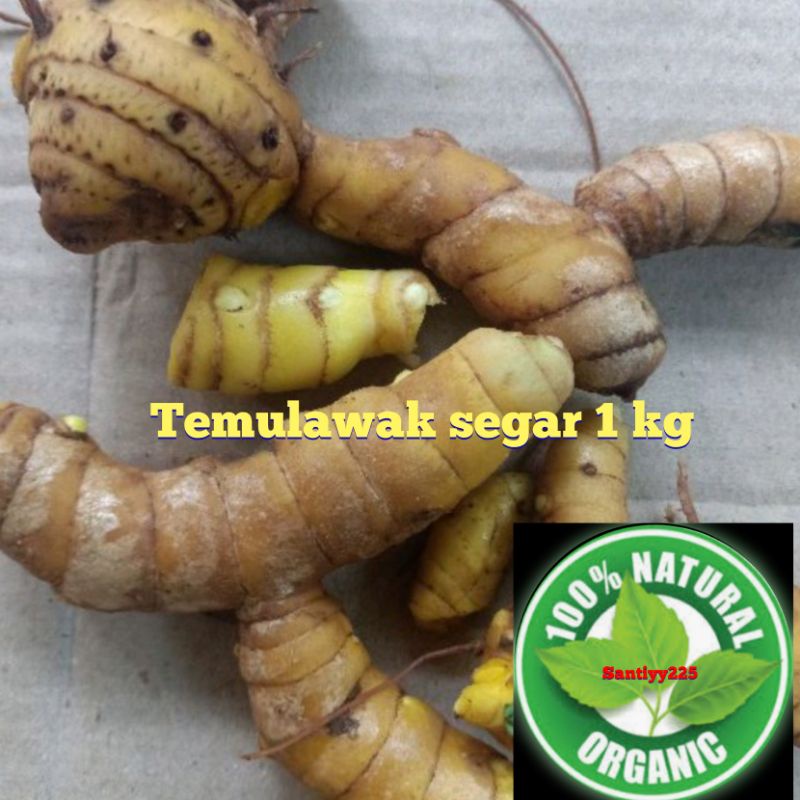 

temulawak segar 1 kg