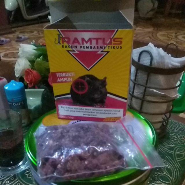 Racun Tikus Pembasmi Hama Mati Kering Paling Ampuh - Temanggung