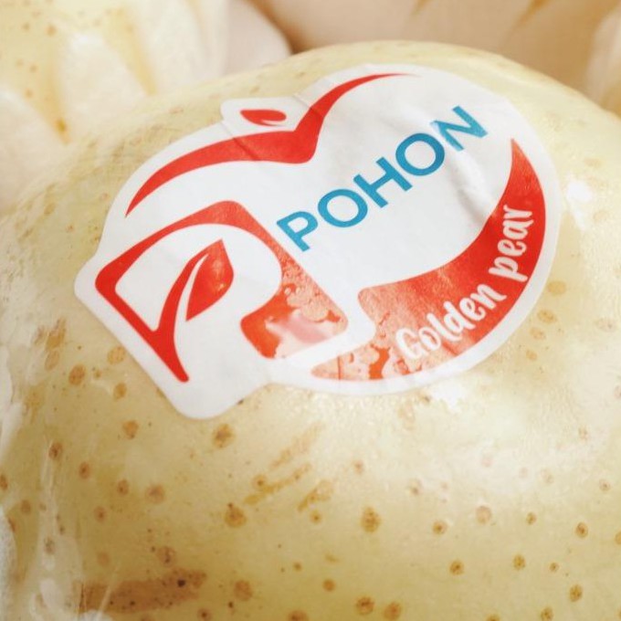 

BUAH PEAR GOLDEN MANIS SEGAR JAKARTA | BUAH PEAR JUMBO | PEAR GOLDEN 1KG