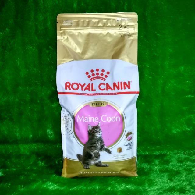 Makanan kucing RC Royal Canin kitten maine Coon 2 kg | makanan kucing anakan maine coon maincoon