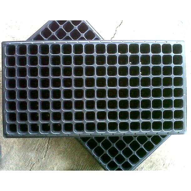 tray semai 128 Lubang