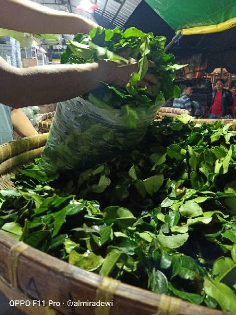 Daun jeruk siap tabur 1 kg