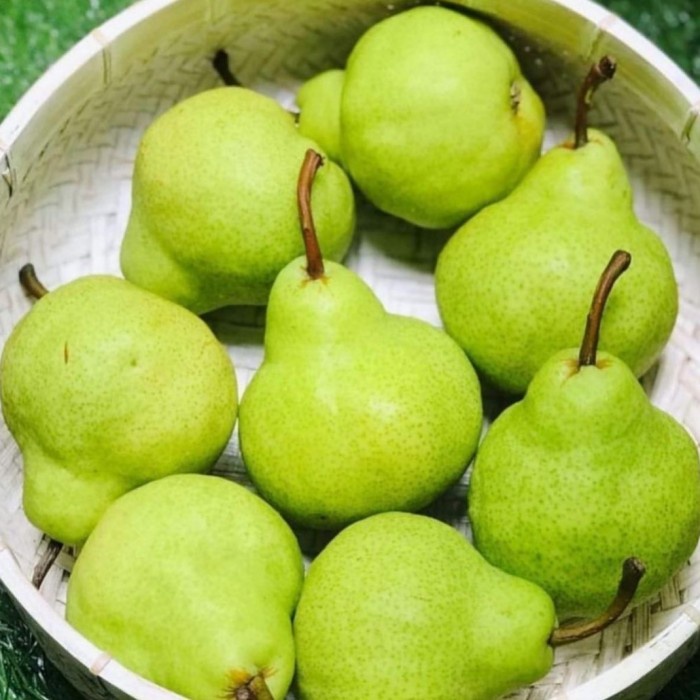 

Pear Pakam Hijau