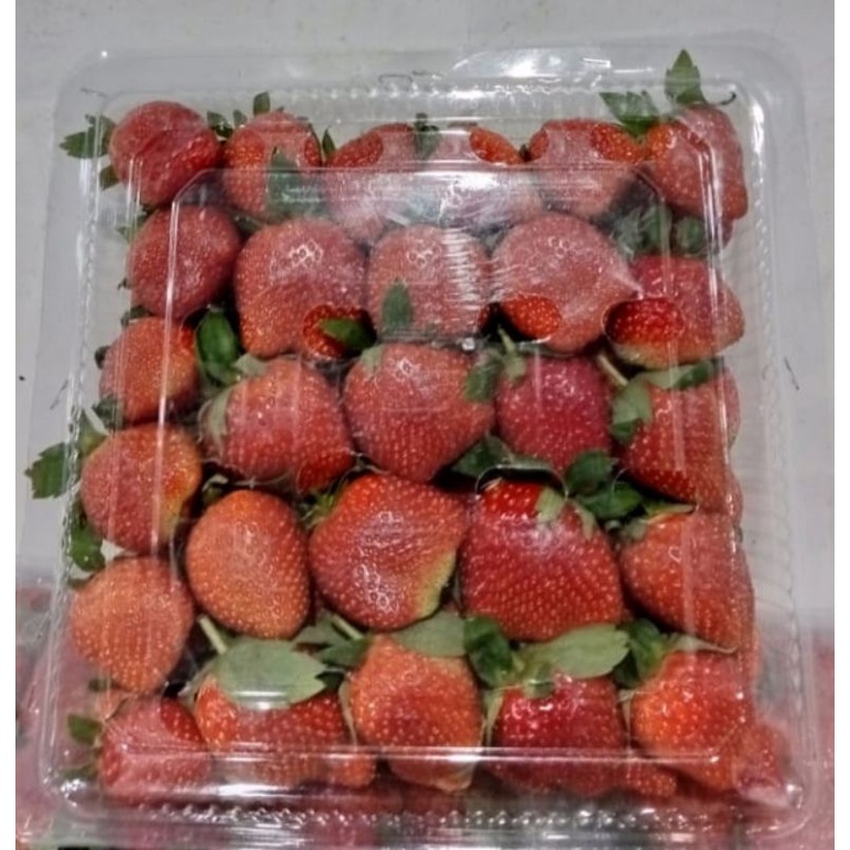 

Strawberry segar 1kg