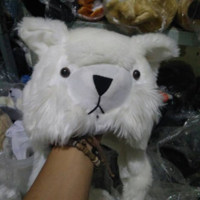 Animal hat kucing anggora putih