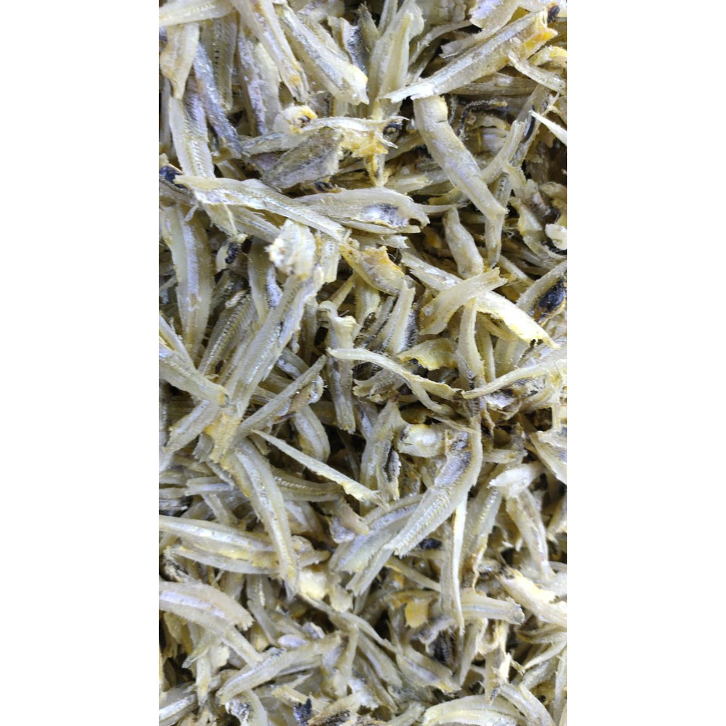 

Teri Kopek Putih Super