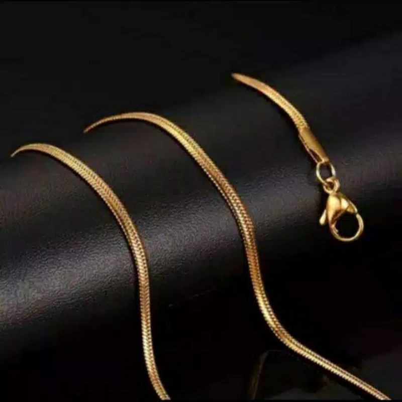 Fourfashion Kalung Titanium Belut Gepeng DF265