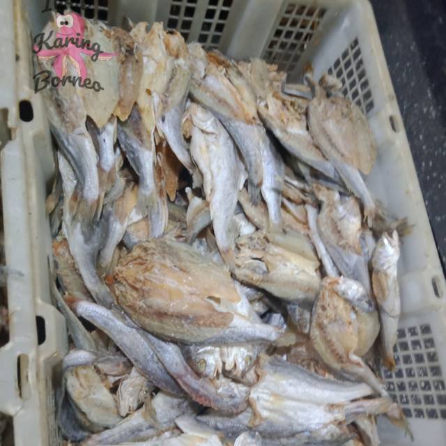 Ikan Asin Kepala Batu Kering 500 gram Iwak Karing Belama