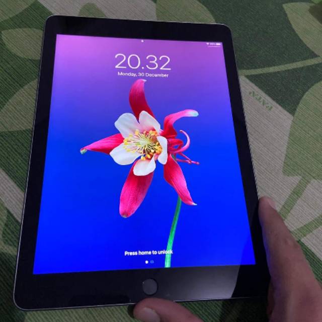 miaadel2408