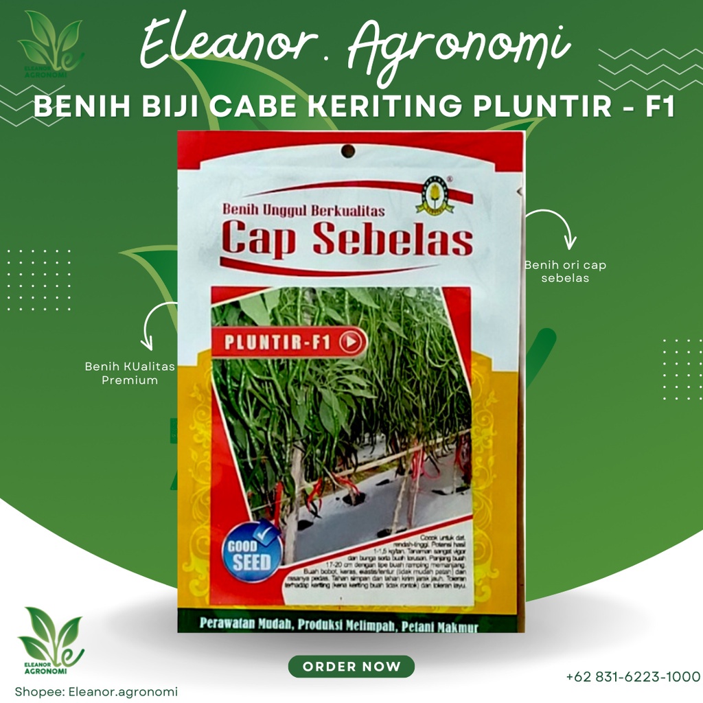 Benih Biji Cap Sebelas Cabe Keriting Pluntir - F1 10gr