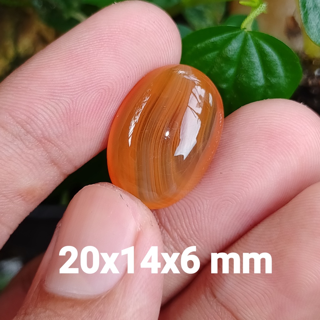 BATU AKIK GINGGANG MERAH BENING ASLI BKN RUBY SAFIR YAKUT BACAN ZAMRUD OPAL