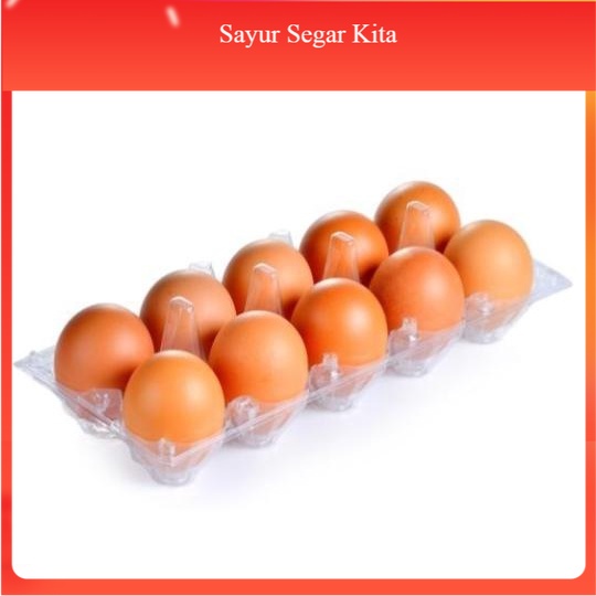 

Telur Ayam 1 pack (10 butir)